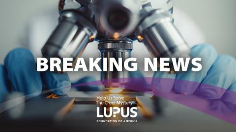 Lupus Foundation of America Sees Big Win with FDA Approval of Benlysta® for Lupus Nephritis