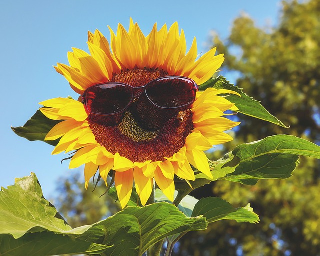Sun Safety for Lupus Patients - Lupus Foundation, Ohio
