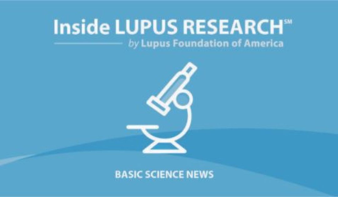 New Research Finds Cells May Cause Systemic Lupus Erythematosus and Possible Approach for Disease Reversal