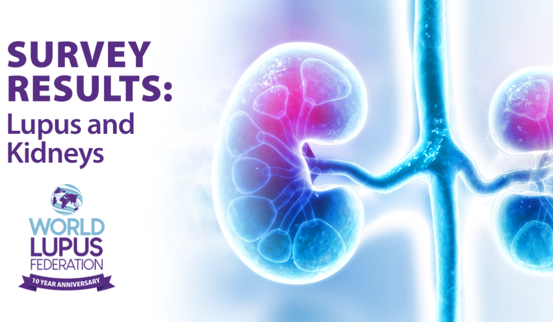 Global Survey from World Lupus Federation Finds Nearly Half of People with Lupus Report Kidney Involvement